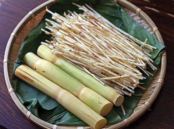 Thức uống giải nhiệt ngày nóng - 2 Rễ tranh và mía lau