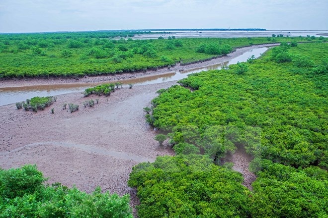Trải nghiệm vẻ hoang sơ của sông nước ngập mặn ngay gần Thủ đô - 2 Trải nghiệm vẻ hoang sơ của sông nước ngập mặn ngay gần Thủ đô - 2