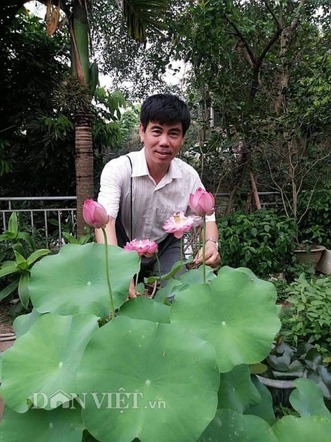 Độc đáo những khu trồng sen "không đụng hàng" - 10 Độc đáo những khu trồng sen "không đụng hàng" - 10
