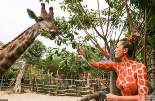 Thiếu nữ mặc nội y hóa thân động vật trong sở thú - 3 Thiếu nữ mặc nội y hóa thân động vật trong sở thú - 3