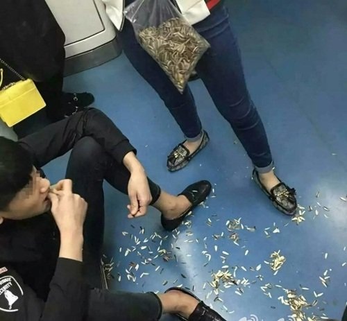 Cặp trai gái bị "ném đá" vì cắn hướng dương trong tàu điện ngầm - 1 Cặp trai gái bị "ném đá" vì cắn hướng dương trong tàu điện ngầm - 1