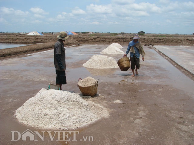 Bán 30kg muối chưa mua được.. 1 bát phở - 3 Bán 30kg muối chưa mua được.. 1 bát phở - 3