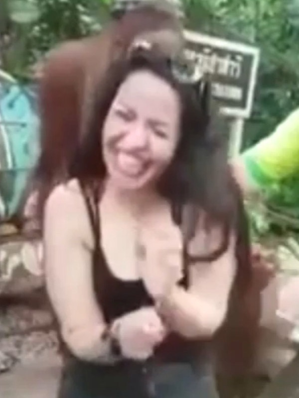 Tinh tinh ranh mãnh "sàm sỡ" nữ du khách - 3 Tinh tinh ranh mãnh "sàm sỡ" nữ du khách - 3