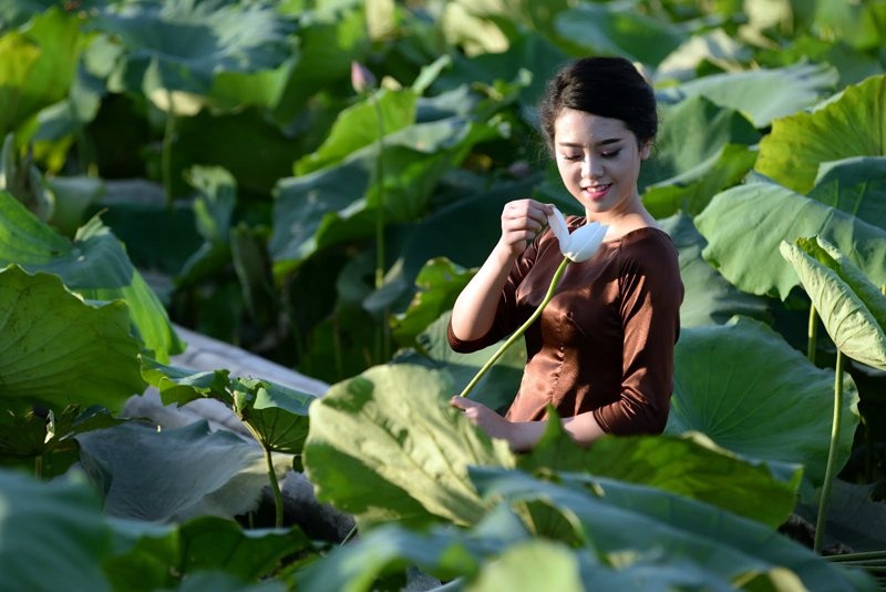 Áo dài, áo yếm đọ dáng cùng sen dưới nắng nóng - 3 Áo dài, áo yếm đọ dáng cùng sen dưới nắng nóng - 3