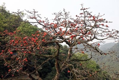 Trẩy hội chùa Hương mùa hoa gạo - 3 Trẩy hội chùa Hương mùa hoa gạo - 3