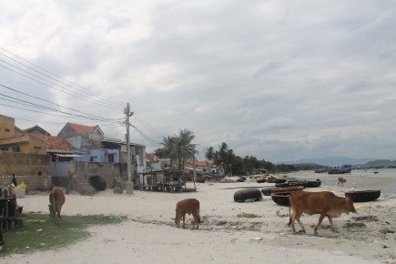 Những thợ lặn biển ở KCN Formosa bây giờ ra sao? - 3 Một góc làng chài Bá Hà 1, nơi có nhiều người mưu sinh bằng nghề thợ lặn. Ảnh: N.BĂNG