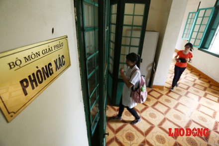 Chùm ảnh: Trăn trở của bác sĩ tương lai trong việc học với thi thể người - 3 Chùm ảnh: Trăn trở của bác sĩ tương lai trong việc học với thi thể người - 3