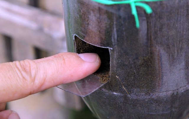 hình ảnh 15 mach