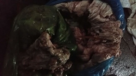 Thực phẩm bẩn - người dân đang bị “đầu độc” bởi sự vô cảm của các cơ quan quản lý? - 4 Những hình ảnh kinh dị về chế biến thực phẩm từ thịt ôi thối ở làng Bình Lương, xã Tân Quang, huyện Văn Lâm, tỉnh Hưng Yên.