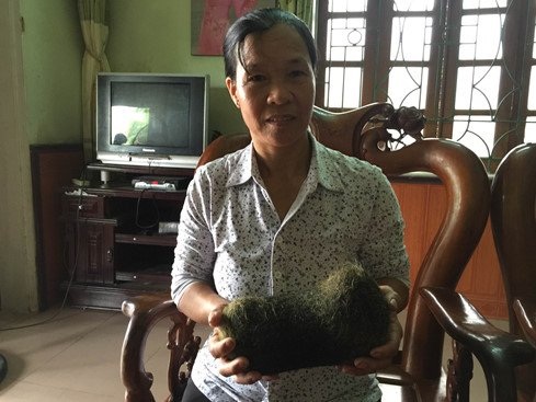 Ra biển mò ốc được viên ngọc quý 1 tỷ đồng - 4
Bà Nhàn và vật lạ nghi là cát lợn