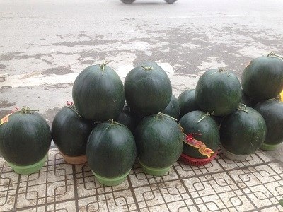 Hà Nội: Dưa hấu 15kg "đổ bộ" xuống phố ngày cận Tết - 4