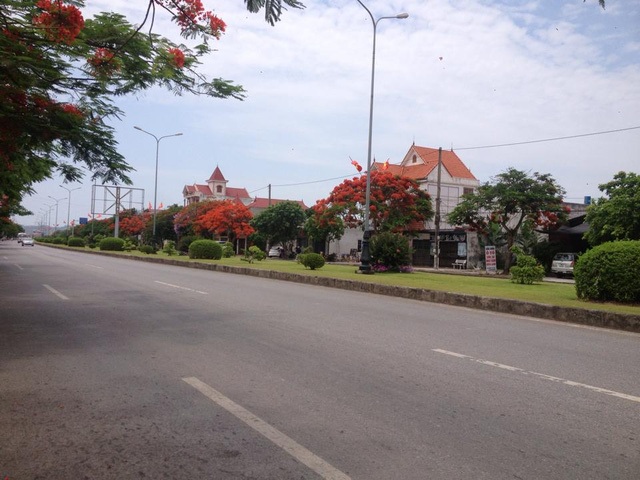 Ngắm vẻ đẹp nao lòng của đường hoa phượng dài nhất Việt Nam - 4 Ngắm vẻ đẹp nao lòng của đường hoa phượng dài nhất Việt Nam - 4