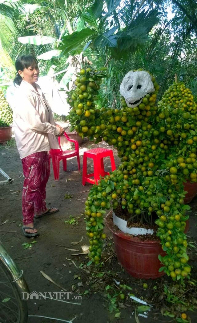 Quất cảnh tạo hình khỉ, rồng, lân… “siêu độc” ở miền Tây - 4 Quất cảnh tạo hình khỉ, rồng, lân… “siêu độc” ở miền Tây - 4