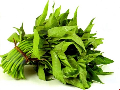 Chuyên gia hướng dẫn chọn rau, củ, quả an toàn - 4 Ảnh minh họa