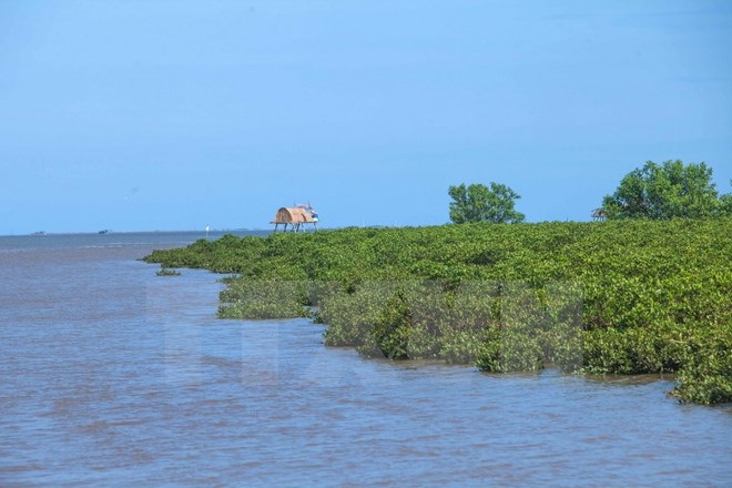 Trải nghiệm vẻ hoang sơ của sông nước ngập mặn ngay gần Thủ đô - 4 Trải nghiệm vẻ hoang sơ của sông nước ngập mặn ngay gần Thủ đô - 4