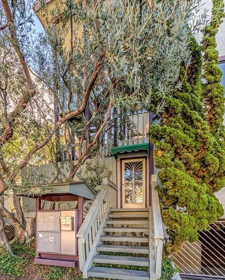 “Thần Sấm” Chris Hemsworth thu bộn tiền khi bán hai biệt thự triệu đô - 5 
Khu vườn tuyệt đẹp phía sau ngôi nhà