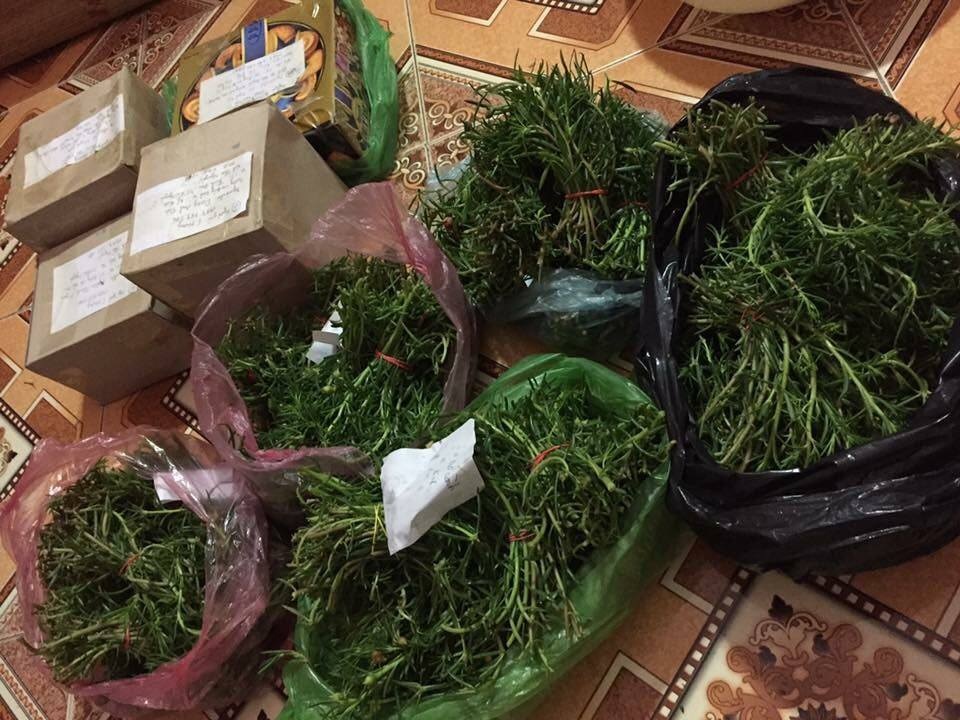 Hoài cổ hoa mười giờ: Mỗi ngày kiếm 1 chỉ vàng - 5
Hoa mười giờ được đóng hộp cẩn thận để giao cho khách