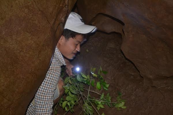 Kỳ lạ: Co ro đắp chăn giữa chảo lửa miền Trung - 5 Kỳ lạ: Co ro đắp chăn giữa chảo lửa miền Trung - 5