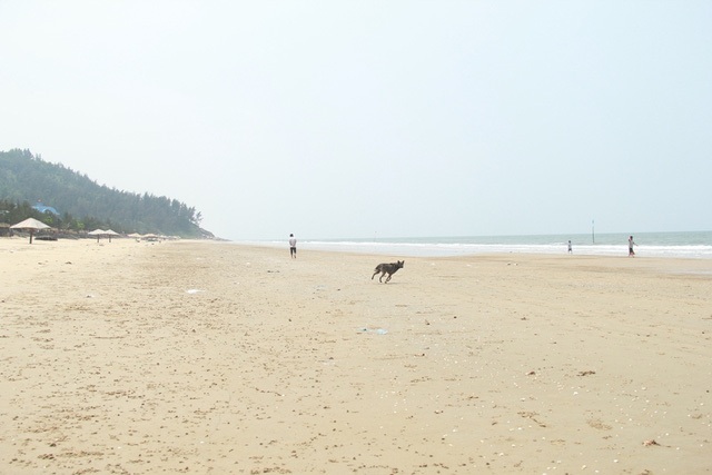 Biển đẹp nhất Hà Tĩnh đìu hiu sau thảm họa cá biển chết "bí ẩn" - 5