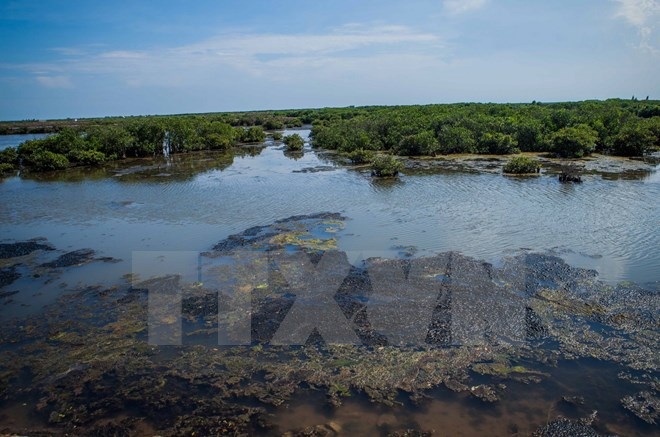 Trải nghiệm vẻ hoang sơ của sông nước ngập mặn ngay gần Thủ đô - 5 Trải nghiệm vẻ hoang sơ của sông nước ngập mặn ngay gần Thủ đô - 5