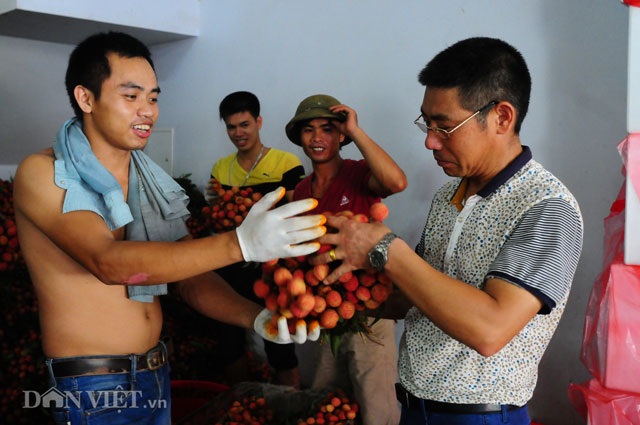 Thương lái Trung Quốc tràn ngập chợ vải thiều, ép giá nông dân - 8
Các thương lái Trung Quốc rất chú trọng đến chất lượng sản phẩm.