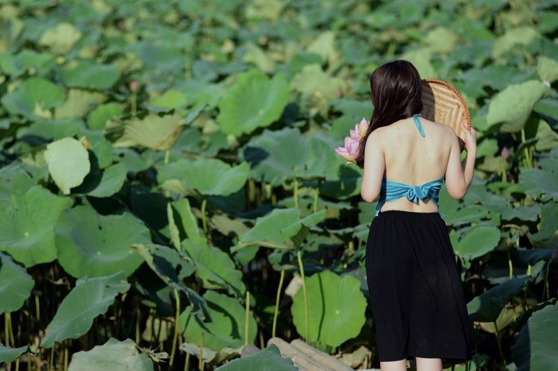 Áo dài, áo yếm đọ dáng cùng sen dưới nắng nóng - 6 Để vào được đầm sen thì chủ đầm thu mỗi người từ 30 đến 50 nghìn đồng, gửi xe là 10 nghìn xe máy và 50 nghìn xe ô tô.
