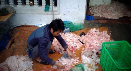 Thực phẩm bẩn - người dân đang bị “đầu độc” bởi sự vô cảm của các cơ quan quản lý? - 6 Những hình ảnh đáng sợ chúng tôi quay qua khe cửa nhà trọ này sẽ là lời tố cáo sự vô trách nhiệm và điêu trá của cán bộ khi họ ngụy biện để bảo vệ cho làng mỡ thối.