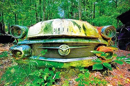 Kỳ lạ khu vườn xe cổ - 6