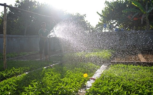 Vườn thanh niên ở Trường Sa và Nhà giàn DK1 - 6 Vườn thanh niên ở Trường Sa và Nhà giàn DK1 - 6