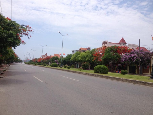 Ngắm vẻ đẹp nao lòng của đường hoa phượng dài nhất Việt Nam - 6 Ngắm vẻ đẹp nao lòng của đường hoa phượng dài nhất Việt Nam - 6