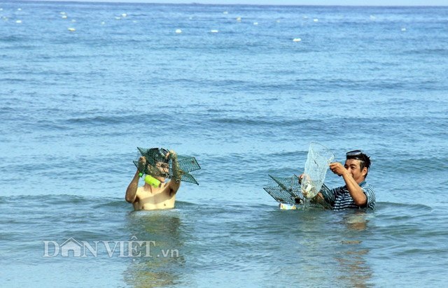 Sắm lồng ra biển bắt ghẹ - 5 Cứ khoảng chừng 10-15 phút, người đi thả lại mang vợt ra thăm và bắt số ghẹ đã chui vào lồng