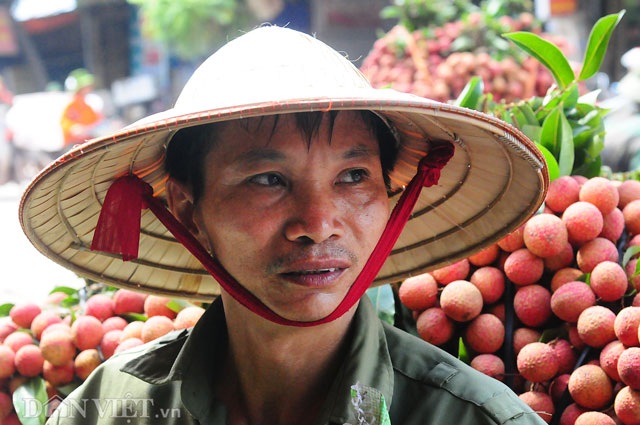 Thương lái Trung Quốc tràn ngập chợ vải thiều, ép giá nông dân - 5
Nông dân Nguyễn Xuân Tiến ( xã Quý Sơn, huyện Lục Ngạn, Bắc Giang) tỏ ra ngán ngẩm khi mỗi lần bán vải lại bị các thương lái Trung Quốc ép giá.
