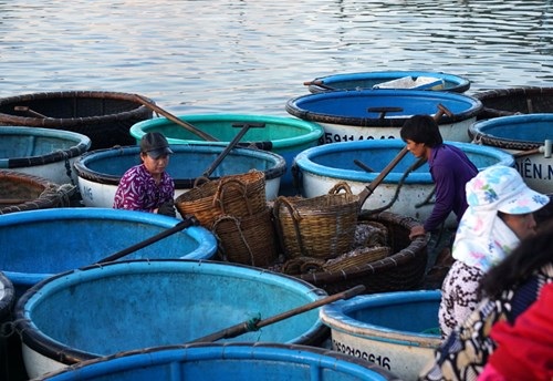 Phú Yên: Cuộc mưu sinh của những nữ 'cửu vạn' ở chợ cá Xuân Cảnh - 7 Nhiều chị phụ nữ lội xuống nước để đẩy thúng cá vào bến