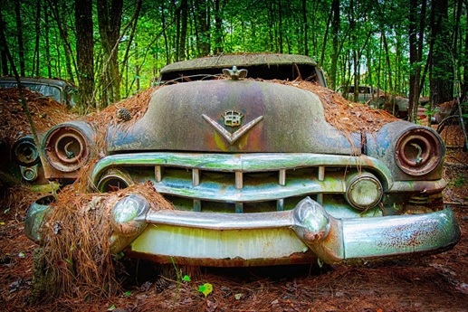 Kỳ lạ khu vườn xe cổ - 7