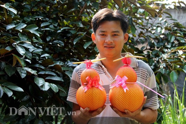 Dưa hấu hồ lô miền Tây: Hiếm hàng vì thời tiết khắc nghiệt - 8
Dưa hấu hồ lô có giá trên thị trường khoảng 500.000 đồng/cặp trong khi dưa vàng bình thường có giá chỉ từ 100.000-150.000 đồng/cặp