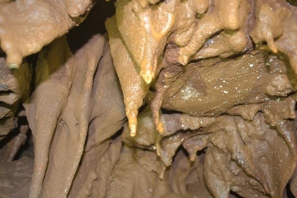 Kỳ lạ: Co ro đắp chăn giữa chảo lửa miền Trung - 8 Kỳ lạ: Co ro đắp chăn giữa chảo lửa miền Trung - 8