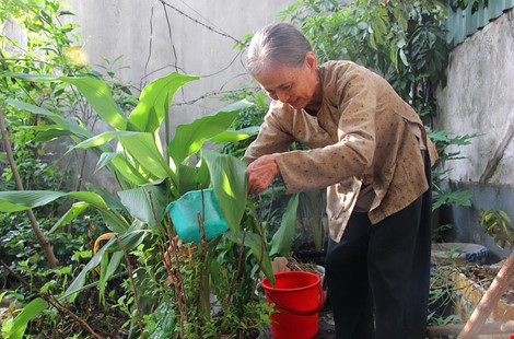 Vợ chồng giáo viên hơn 20 năm dạy miễn phí cho học sinh nghèo - 8 Cô Thiền vừa chăm chút cho lớp học, chiều đến lại lo vườn rau làm thú vui lúc tuổi già.