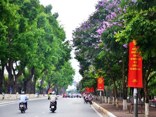 Hà Nội rực rỡ, quyến rũ những sắc hoa tháng Năm vào hạ - 8