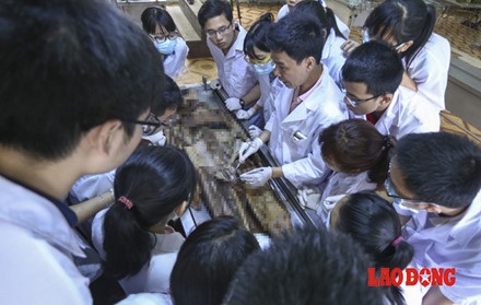 Chùm ảnh: Trăn trở của bác sĩ tương lai trong việc học với thi thể người - 8 Chùm ảnh: Trăn trở của bác sĩ tương lai trong việc học với thi thể người - 8