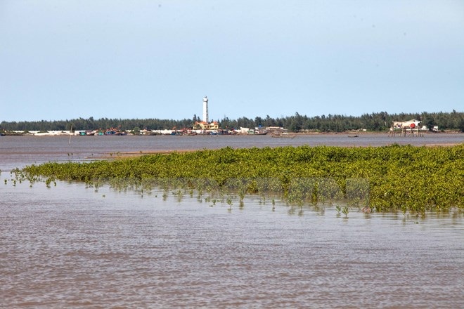 Trải nghiệm vẻ hoang sơ của sông nước ngập mặn ngay gần Thủ đô - 8 Trải nghiệm vẻ hoang sơ của sông nước ngập mặn ngay gần Thủ đô - 8