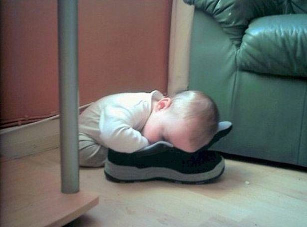 Chùm ảnh vui: "Những đứa trẻ bạ đâu ngủ đấy" - 9
Mùi gì gây nghiện vậy ta!