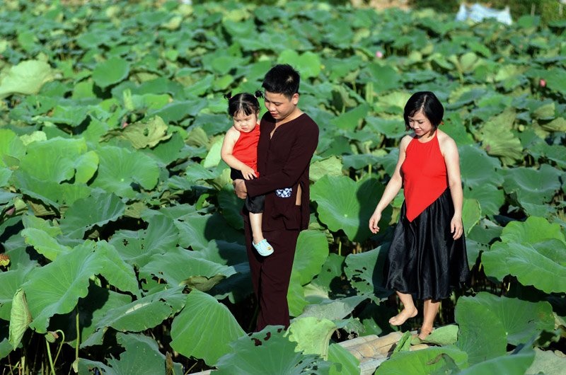 Áo dài, áo yếm đọ dáng cùng sen dưới nắng nóng - 9 Áo dài, áo yếm đọ dáng cùng sen dưới nắng nóng - 9