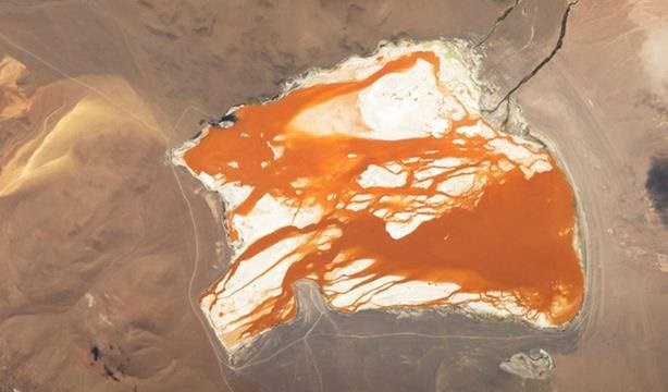 Hồ Laguna Colorada ở Bolivia đổi màu do tảo dưới nước. (nguồn: CCTVNews)