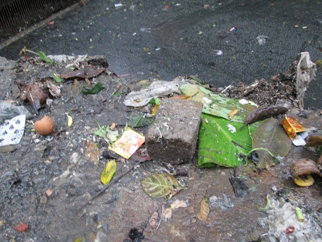 Những hình ảnh đáng sợ về thói "bạ đâu cũng ăn" của người Việt - 8