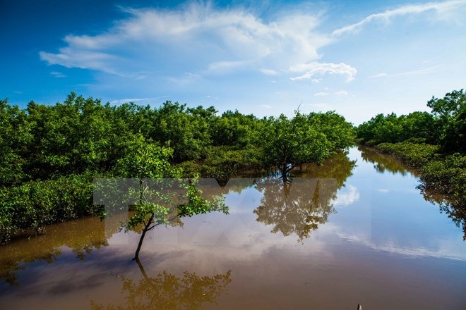Trải nghiệm vẻ hoang sơ của sông nước ngập mặn ngay gần Thủ đô - 9 Trải nghiệm vẻ hoang sơ của sông nước ngập mặn ngay gần Thủ đô - 9