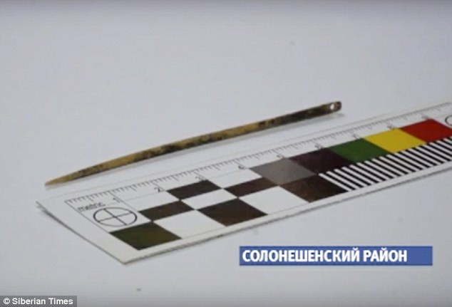 
Cây kim được làm từ xương chim và dài 7,6cm
