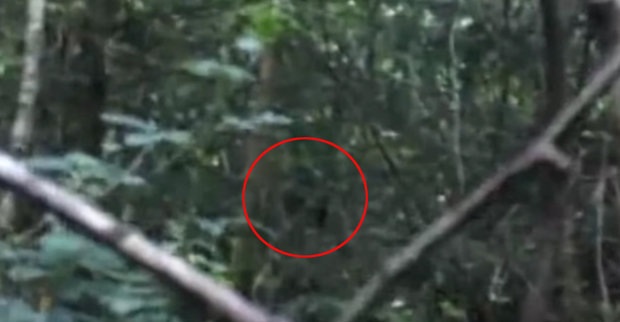 Tìm thấy "quái vật Bigfoot" ở Anh - 3 Tìm thấy "quái vật Bigfoot" ở Anh - 3