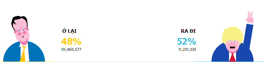 Người Anh quyết định chọn rời EU - 9