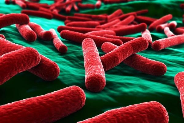 Vật liệu mới tiêu diệt vi khuẩn E. coli trong 30 giây - 1 Các nhà nghiên cứu đã phát triển một loại vật liệu mới có khả năng tiêu diệt tế bào E. coli