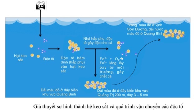 Các nhà khoa học đã buộc tội Formosa như thế nào? - 5 Các nhà khoa học đã buộc tội Formosa như thế nào? - 5